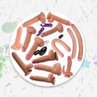 Visit Beirut incall escort Karmen for an hour or two (1 hour LBP 400)