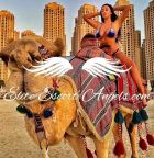 Profile of lebanon private escort on sexobeirut.com